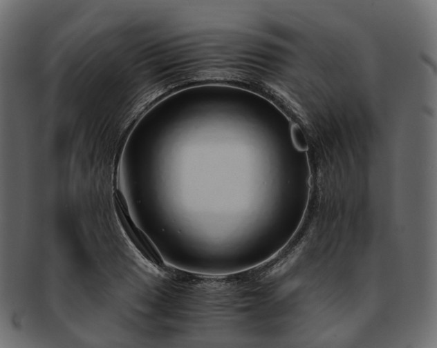 X0000093231033200710031454