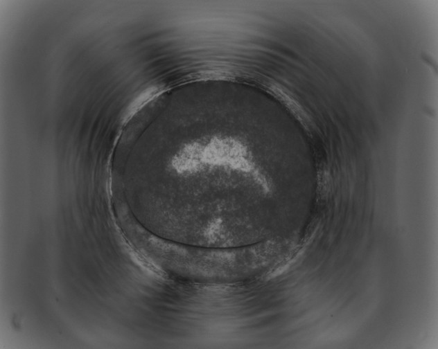 X0000093231034200710031454