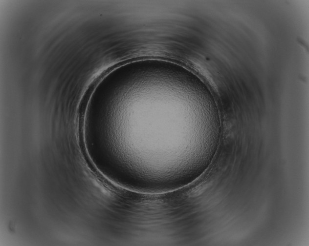 X0000093231035200710031454