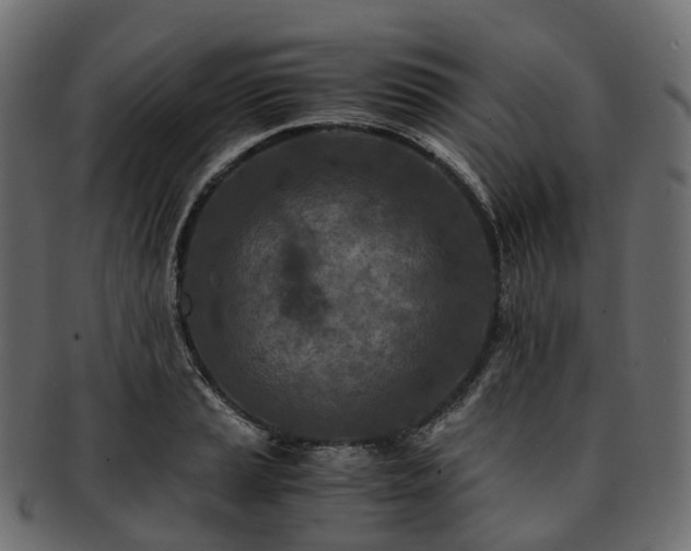 X0000093231037200710031454