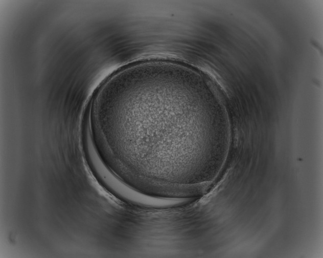 X0000093231038200710031454