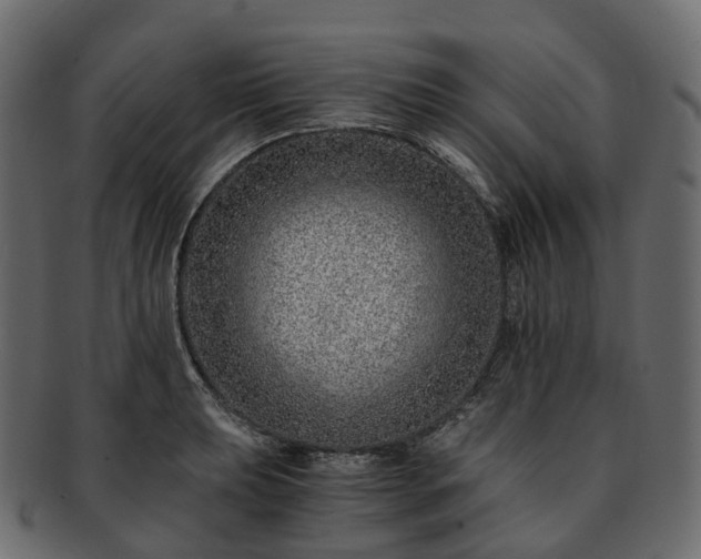 X0000093231039200710031454