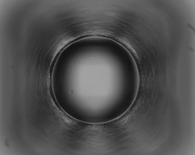 X0000093231040200710031454