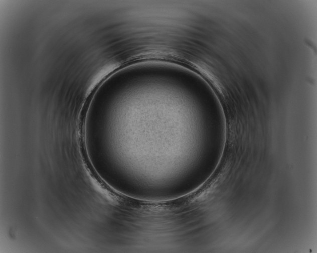 X0000093231042200710031454