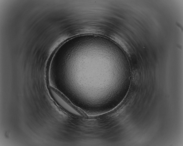 X0000093231043200710031454