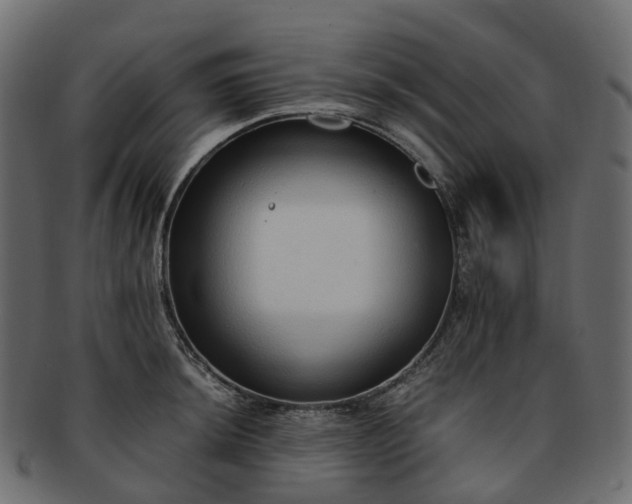 X0000093231044200710031454