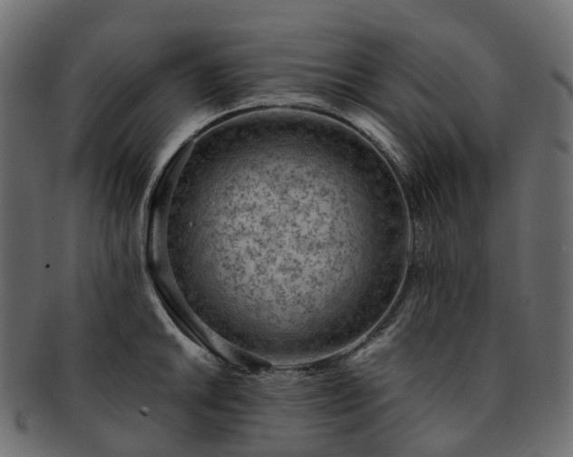 X0000093231046200710031454