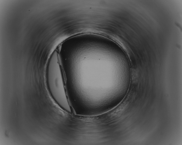 X0000093231048200710031454