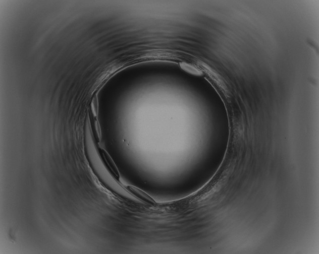 X0000093231049200710031454