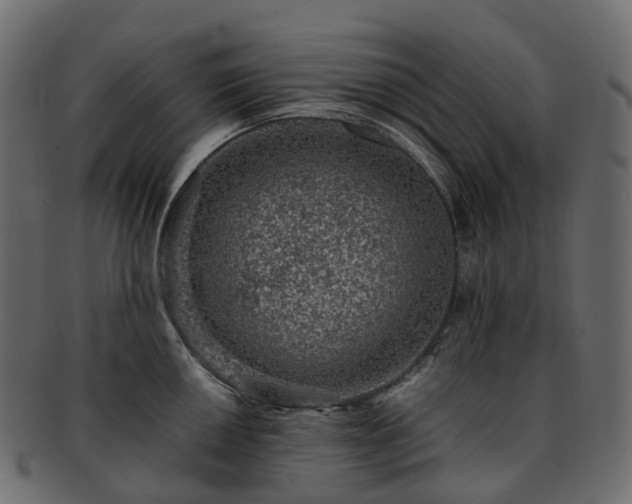 X0000093231050200710031455