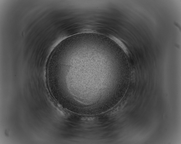 X0000093231051200710031455