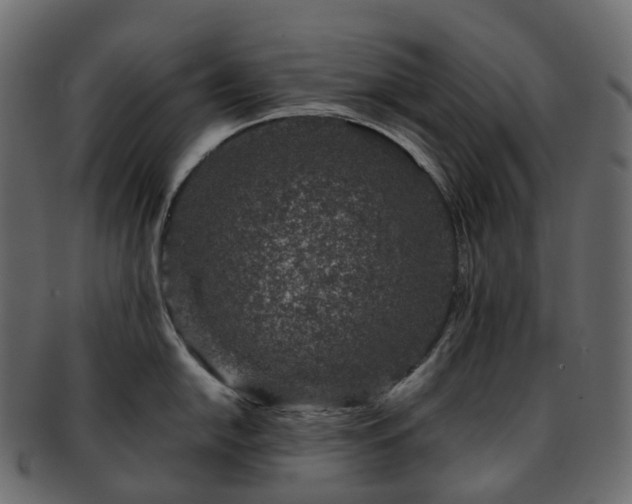 X0000093231054200710031455