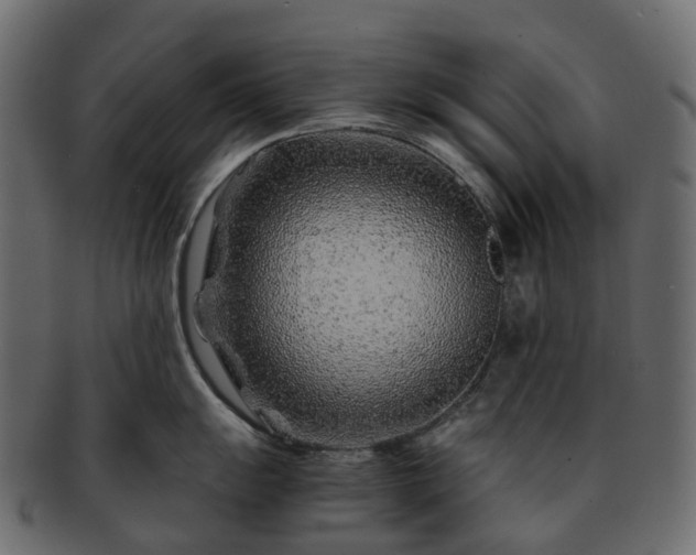 X0000093231055200710031455