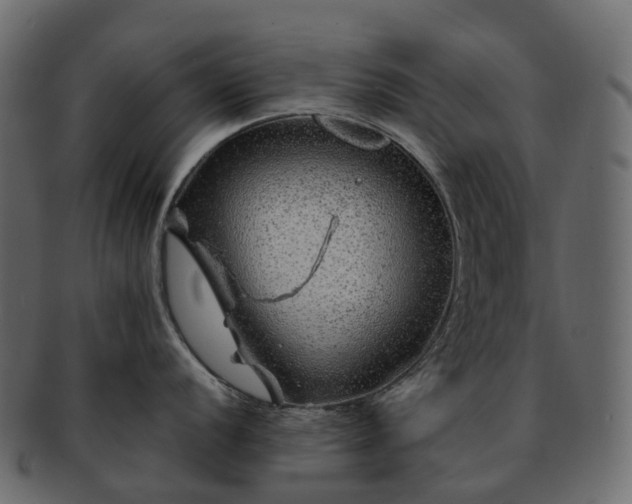 X0000093231056200710031455