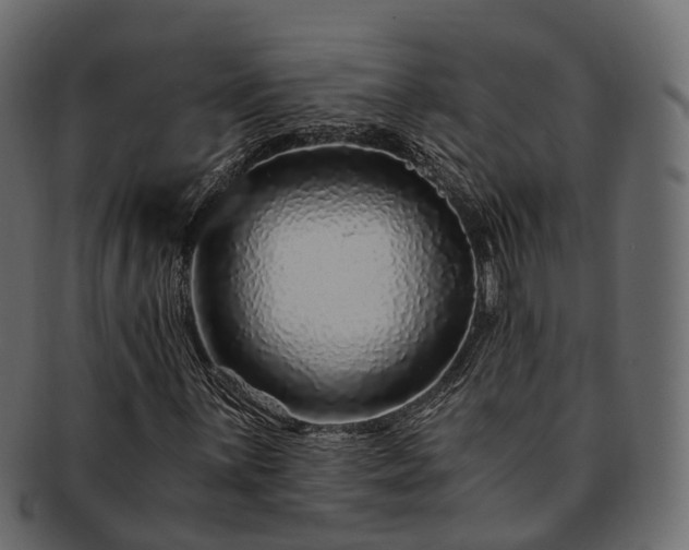 X0000093231059200710031454