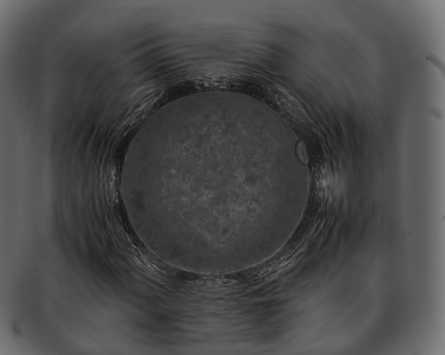 X0000093231060200710031454