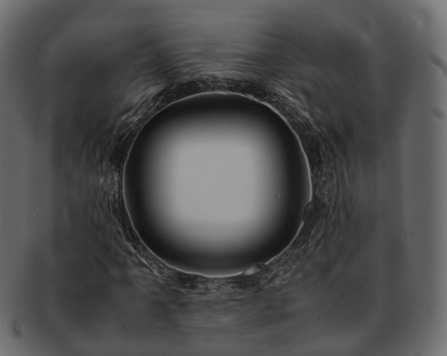 X0000093231061200710031454