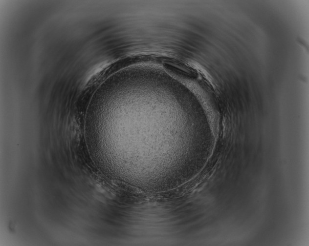 X0000093231064200710031454