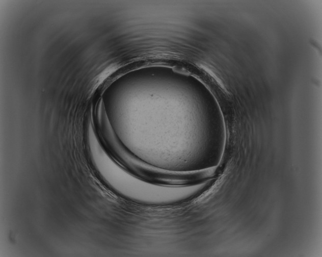 X0000093231065200710031454