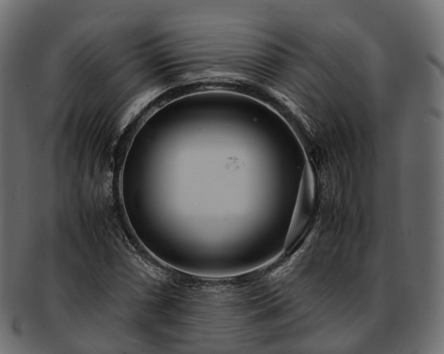 X0000093231066200710031454