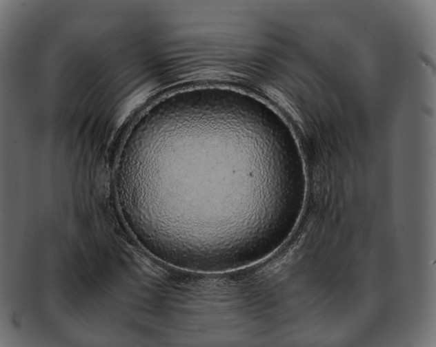 X0000093231067200710031454