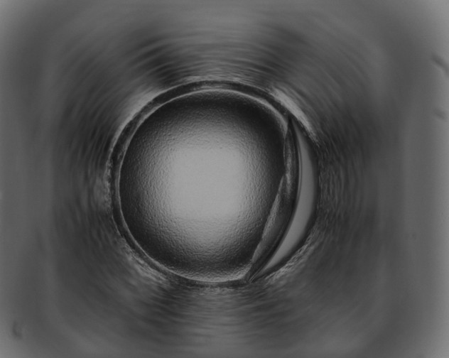 X0000093231068200710031454