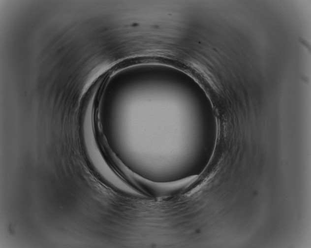 X0000093231069200710031454