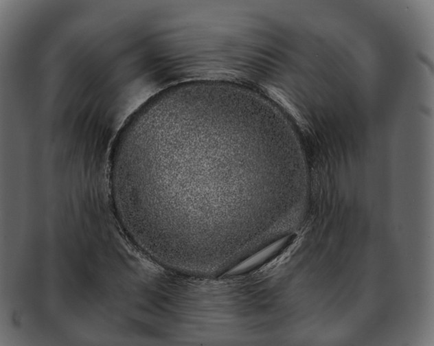 X0000093231071200710031454