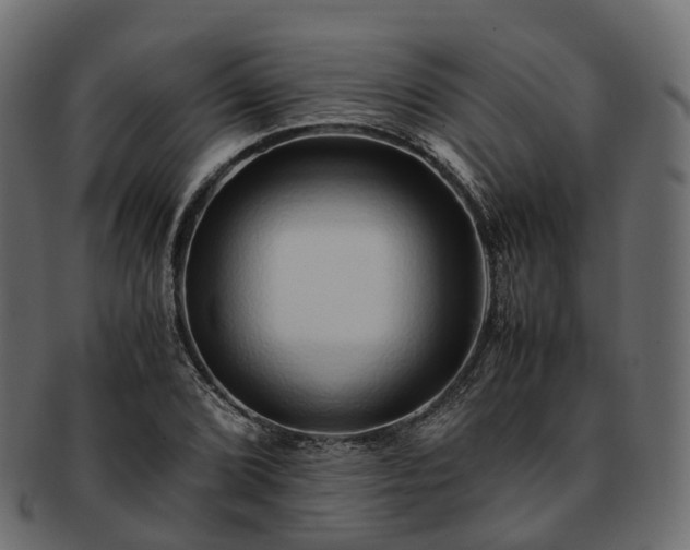 X0000093231072200710031454