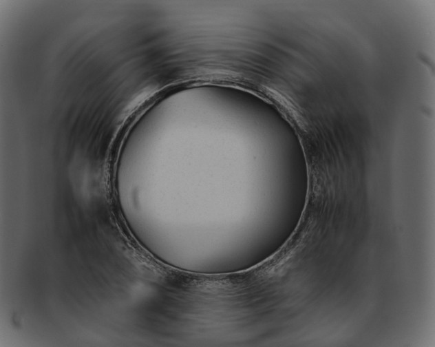 X0000093231074200710031454