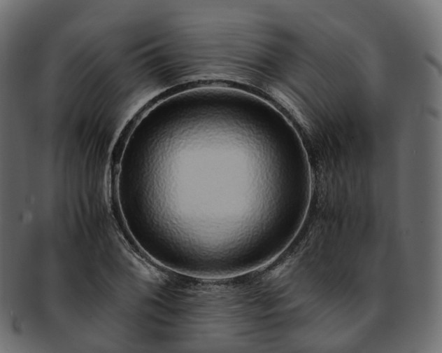 X0000093231076200710031454