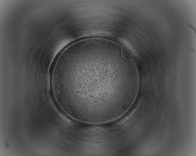 X0000093231079200710031454