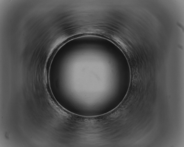 X0000093231080200710031454