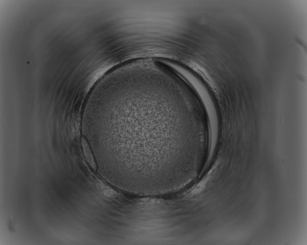 X0000093231081200710031454