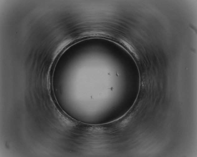 X0000093231082200710031454