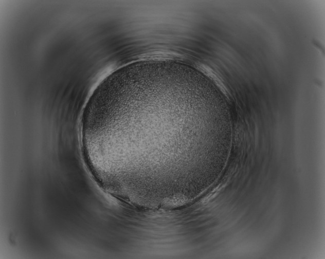 X0000093231083200710031454