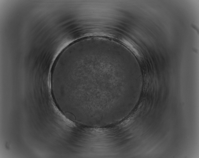 X0000093231084200710031454