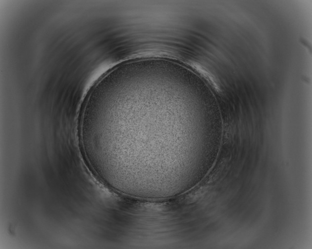 X0000093231086200710031453