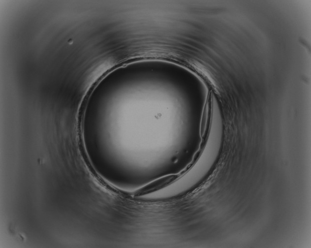 X0000093231087200710031453