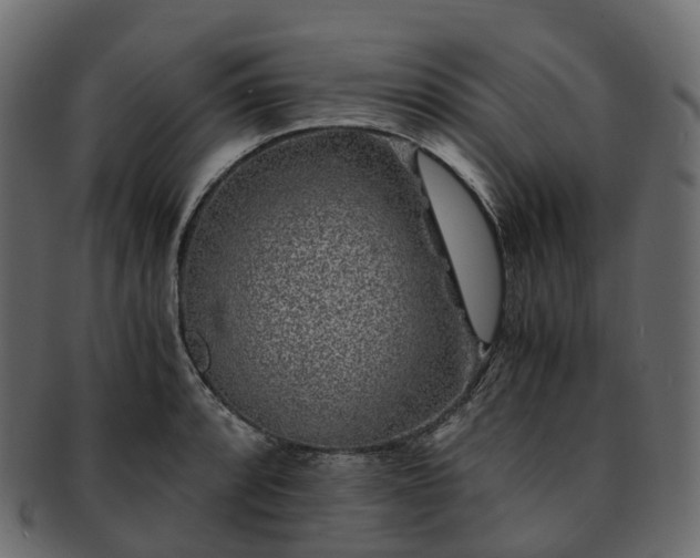 X0000093231088200710031453