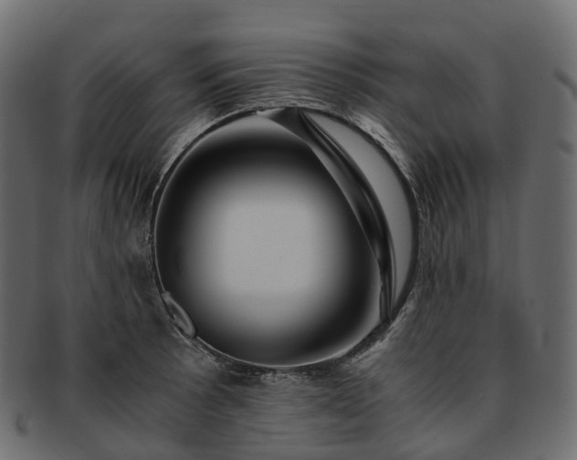 X0000093231089200710031453