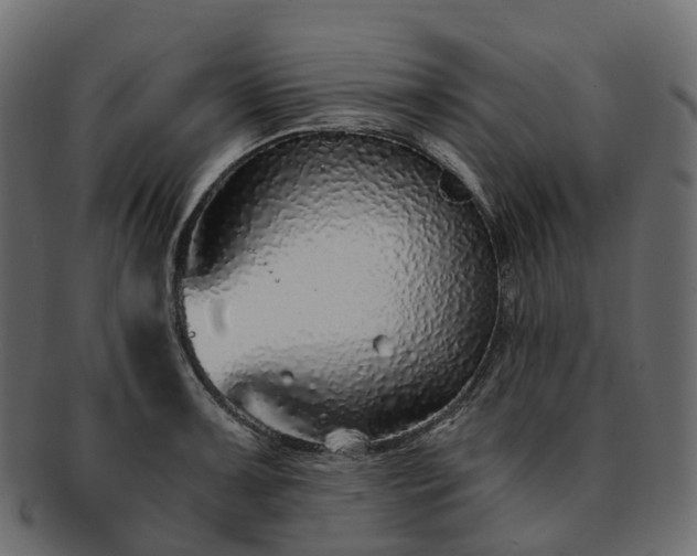 X0000093231091200710031453