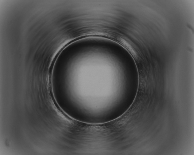 X0000093231092200710031453