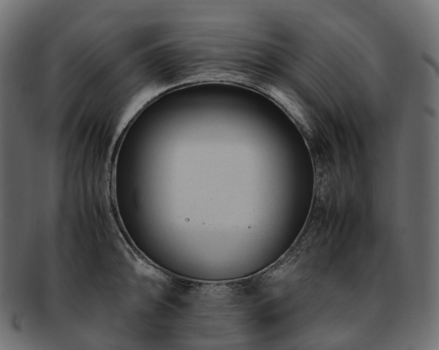 X0000093231094200710031453