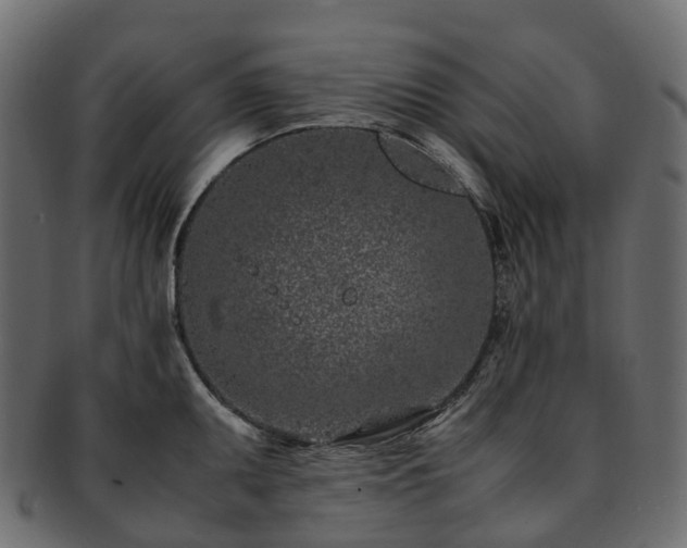 X0000093231095200710031453