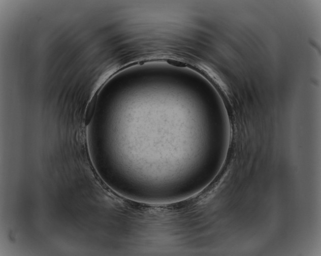 X0000093231097200710031453