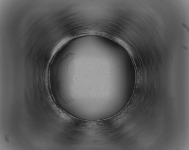 X0000093231098200710031453