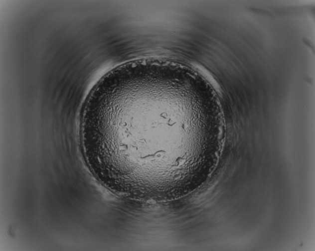 X0000093231099200710031453