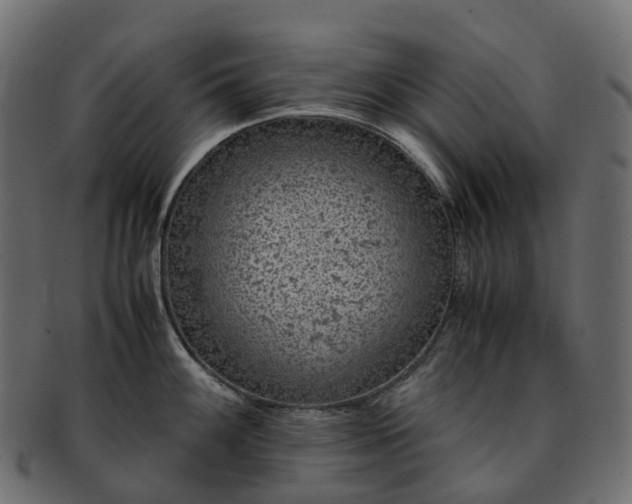 X0000093231100200710031453