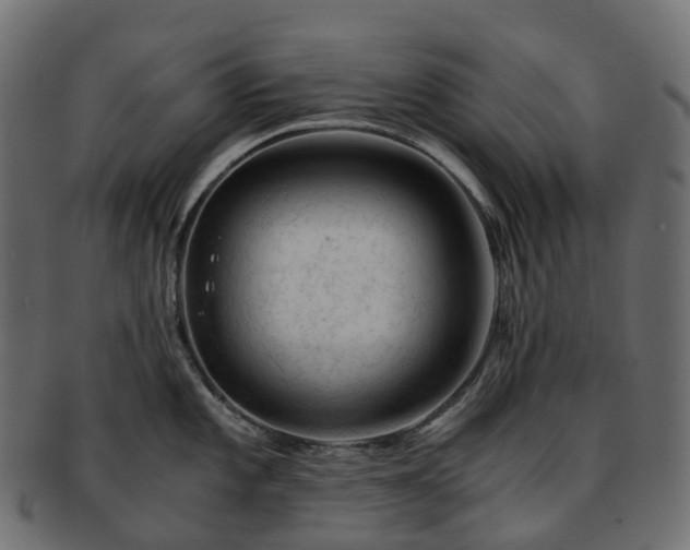 X0000093231101200710031453